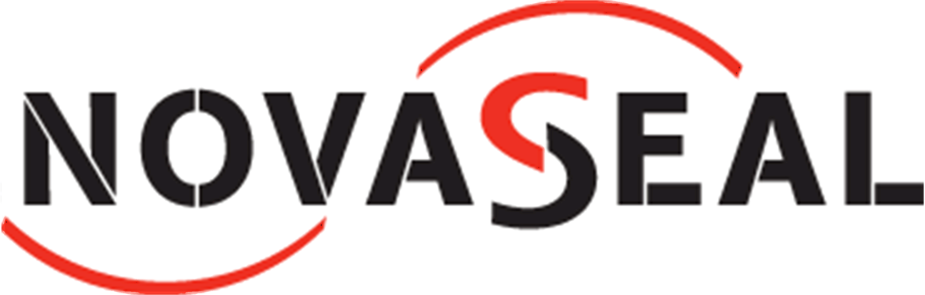 NSC-Logo-Graphics
